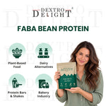Faba bean protein uses and applications