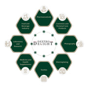 Tartaric Acid Powder E334